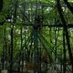 Illustration for article titled A Hand-Built Amusement Park in the Middle of the Italian Forest
